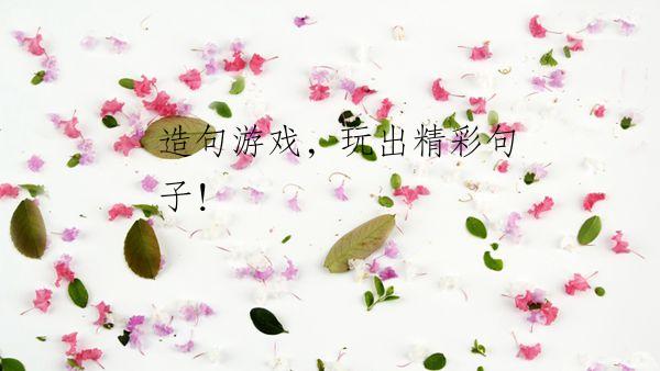 造句游戏，玩出精彩句子！