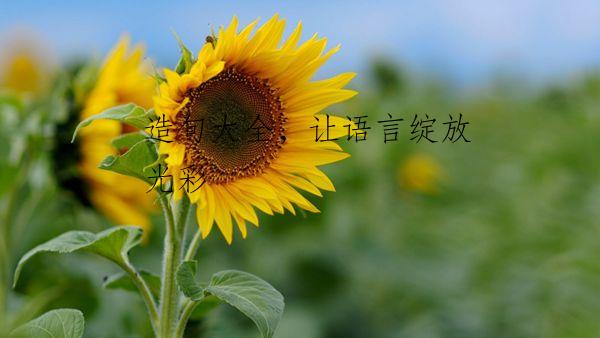 造句大全，让语言绽放光彩