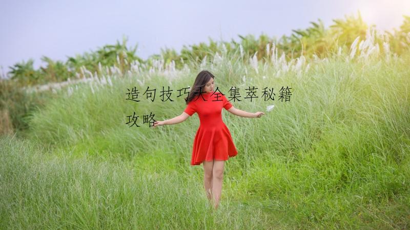 造句技巧大全集萃秘籍攻略