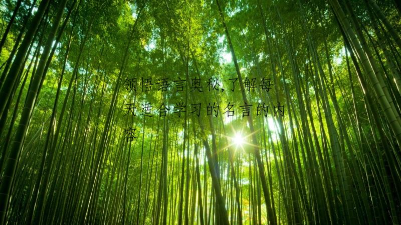 领悟语言奥秘,了解每天适合学习的名言的内容