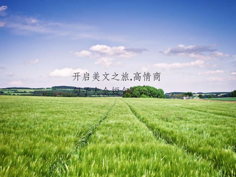 开启美文之旅,高情商句子大全短句