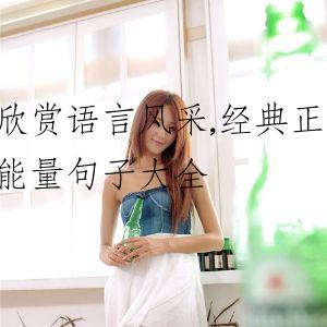 欣赏语言风采,经典正能量句子大全