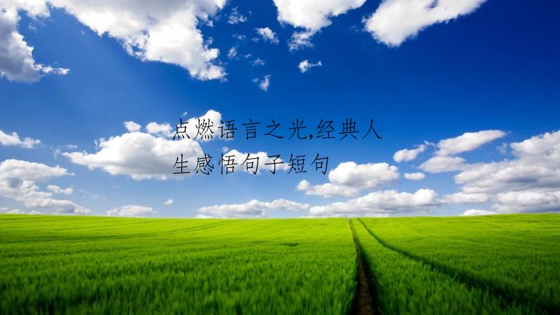 点燃语言之光,经典人生感悟句子短句