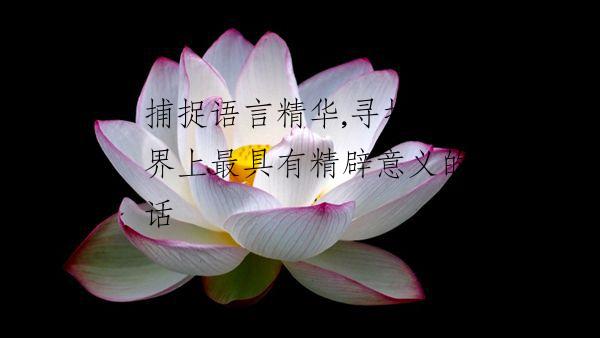 捕捉语言精华,寻找世界上最具有精辟意义的话